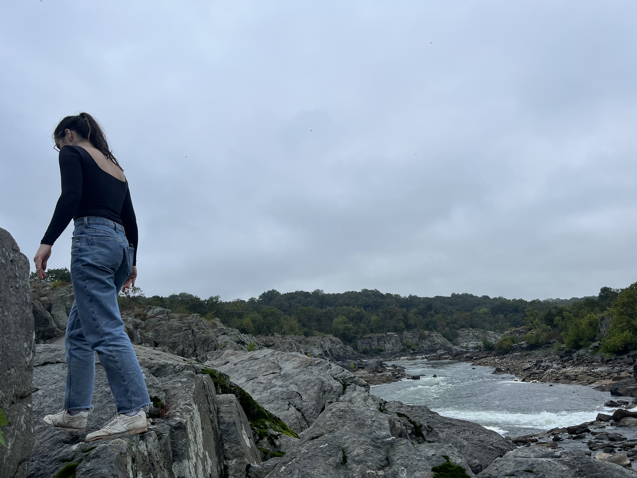 greatFallsOverlook.JPEG