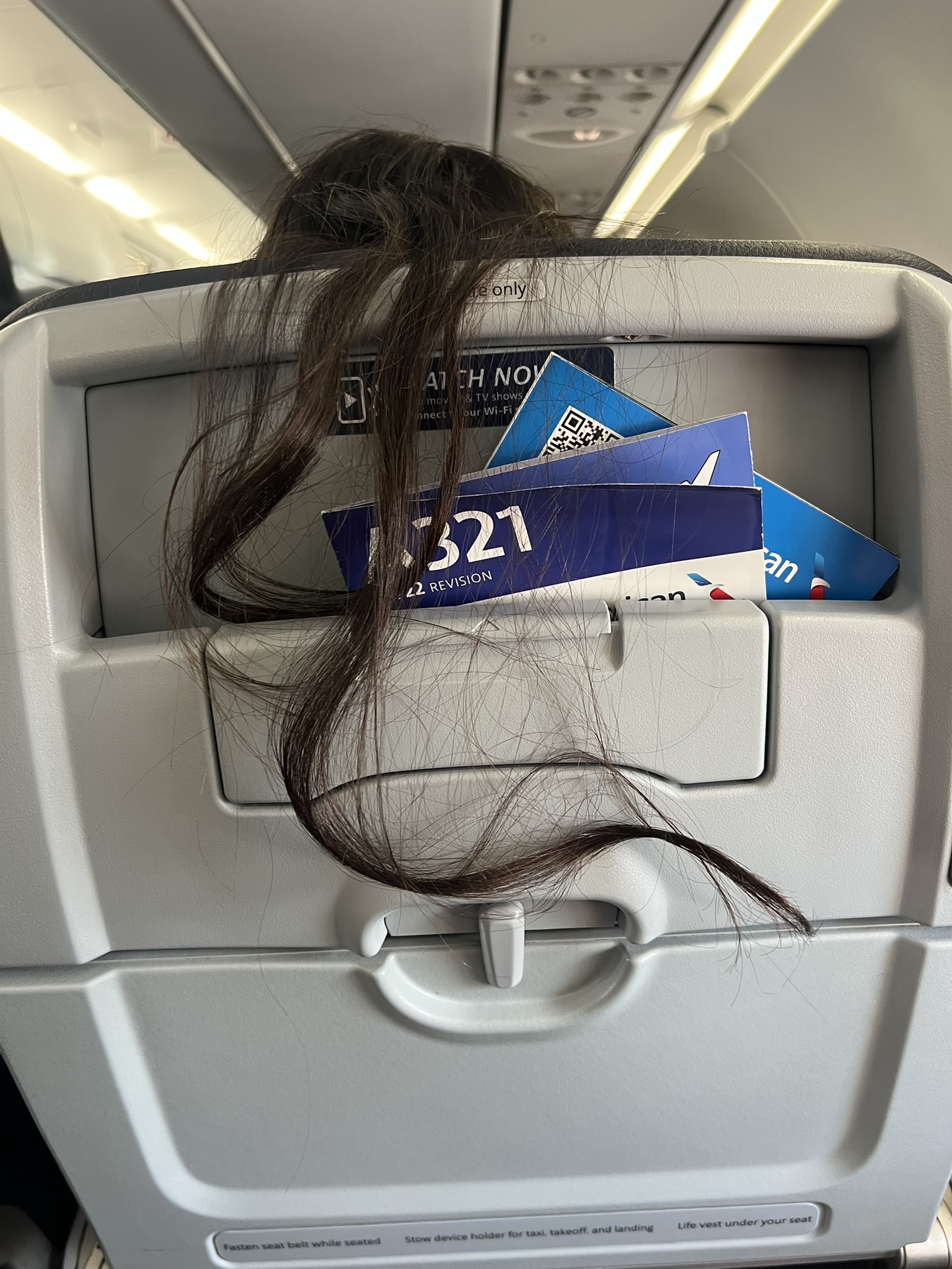 hair on airplane